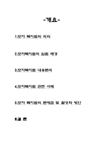 모부자 복지법의 의의, 내용, 사례, 문제점 및 활성화 방안-11