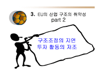 [유럽지역론] 유럽지역론-14