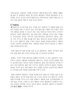 [마케팅] Heelys(힐리스)의 마케팅분석-8