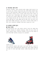 [마케팅] Heelys(힐리스)의 마케팅분석-16