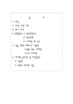[국제 마케팅] 국제마케팅 성공사례 분석 - 헤어 아이롱기의 국제 시장 석권 전략 분석-2