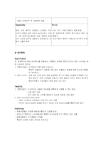 [국제 마케팅] 국제마케팅 성공사례 분석 - 헤어 아이롱기의 국제 시장 석권 전략 분석-4