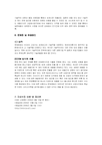 [국제 마케팅] 국제마케팅 성공사례 분석 - 헤어 아이롱기의 국제 시장 석권 전략 분석-7