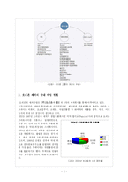 [국제경영] 오리온의 해외사업 성공전략-4