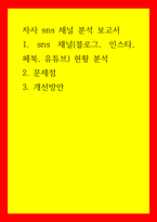 자사 sns 채널 분석 보고서 sns 채널 현황 분석 문제점 개선방안-1