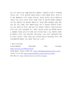 자사 sns 채널 분석 보고서 sns 채널 현황 분석 문제점 개선방안-8