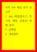 자사 sns 채널 분석 보고서 sns 채널(블로그, 인스타, 페북, 유튜브현황 분석 문제점 개선방안-1
