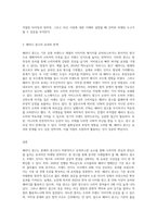 패러디(parody) 광고를 대상으로 광고사례분석-3
