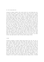 아이슬란드의 자연환경과 그것을 활용한 관광-6