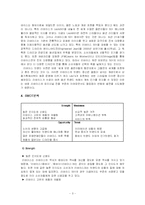 [다국적 기업론] 다국적기업이 우리나라 기업에 미친 영향 - 리바이스-3