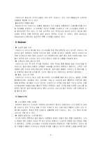 [다국적 기업론] 다국적기업이 우리나라 기업에 미친 영향 - 리바이스-4