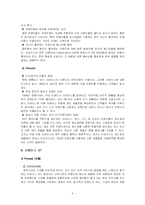[다국적 기업론] 다국적기업이 우리나라 기업에 미친 영향 - 리바이스-5