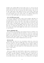 [다국적 기업론] 다국적기업이 우리나라 기업에 미친 영향 - 리바이스-6