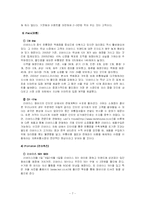 [다국적 기업론] 다국적기업이 우리나라 기업에 미친 영향 - 리바이스-7