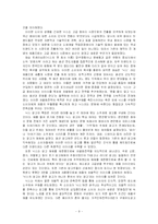 [다국적 기업론] 다국적기업이 우리나라 기업에 미친 영향 - 리바이스-9