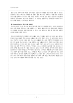 [교육학] 미국의 교육-11