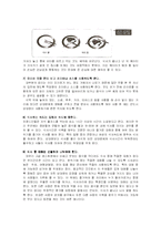 [매너,예절] 테이블매너-10