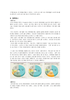 [경영학] 스타벅스, 자판기, 로즈버드의 대안평가-4