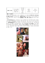 [영화속 의상] 서양복식 관련 영화(트로이/300/엘리지베스)-8
