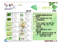 [마케팅, 환경마케팅, 경영] 풀무원 마케팅, 환경경영 분석 PPT(두부, 경쟁사 CJ분석포함)-16