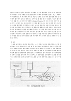 [화공실험] Reynolds Number(레이놀즈수)실험 결과보고서-3