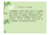 [독일음식문화] 독일의 음식문화-6