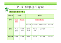 [유통관리] 유통과정 성공사례-칠성사이다--18