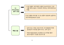 [국제경영학] SM엔터테인먼트-15
