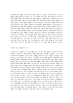 사회복지행정 및 사회복지서비스의 전달체계를 정리한 후 우리나라의 사회복지서비스 전달체계의 문제점을 사례를 들어 설명-2