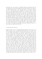 Piaget와 Vygotsky 이론의 차이에 대하여 논하시오-7