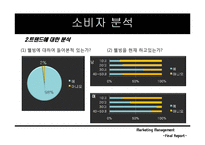 [마케팅] 드림카카오의 마케팅전략-14