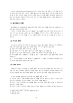 [마케팅] 다국적 기업의 국제 마케팅 전략에 관한 연구-5