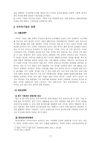 [마케팅] 다국적 기업의 국제 마케팅 전략에 관한 연구-6