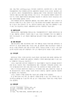 [마케팅] 다국적 기업의 국제 마케팅 전략에 관한 연구-16