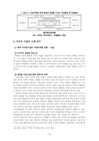 [마케팅] 다국적 기업의 국제 마케팅 전략에 관한 연구-19