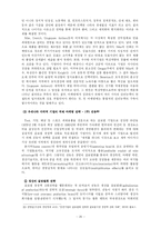 [마케팅] 다국적 기업의 국제 마케팅 전략에 관한 연구-20