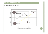 [경영학,마케팅] 포트폴리오 분석 - BCG 메트릭스-10