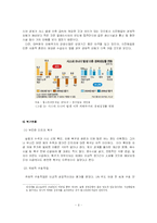 [사회과학, 재난관리, 쓰나미] 쓰나미와 재난관리 대응방안-9