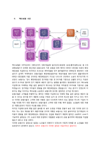 [경영학, 기업윤리] 보험사의 비윤리적 의사결정 사례-13