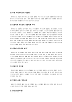 [싸이월드] 싸이월드 고찰과 SWOT 및 마케팅 전략 분석-9