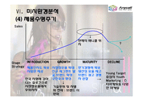 [글로벌 마케팅] 삼성 애니콜 마케팅 전략-11