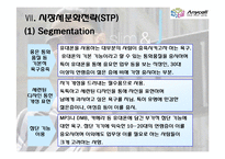 [글로벌 마케팅] 삼성 애니콜 마케팅 전략-13