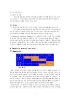 [마케팅](주)좋은사람들의 속옷 브랜드 마케팅 전략 연구-8
