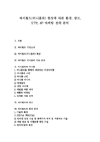[싸이월드] 싸이월드(미니홈피) 현상에 따른 환경, 광고, STP, 4P 마케팅 전략 분석-1