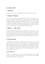 [싸이월드] 싸이월드(미니홈피) 현상에 따른 환경, 광고, STP, 4P 마케팅 전략 분석-11