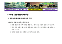 [국제재무론] 국제자본예산-8