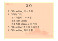 OK cashbag(ok캐쉬백) 마케팅전략-2