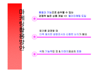 [컬러마케팅] LG전자의 컬러홀릭폰-13