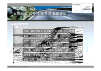 대우와 GM 기업의 전략적 제휴-17
