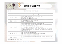 [국제경영] 삼성전자 국제경영의 대한 연구 -애니콜 러시아 진출 사례-6